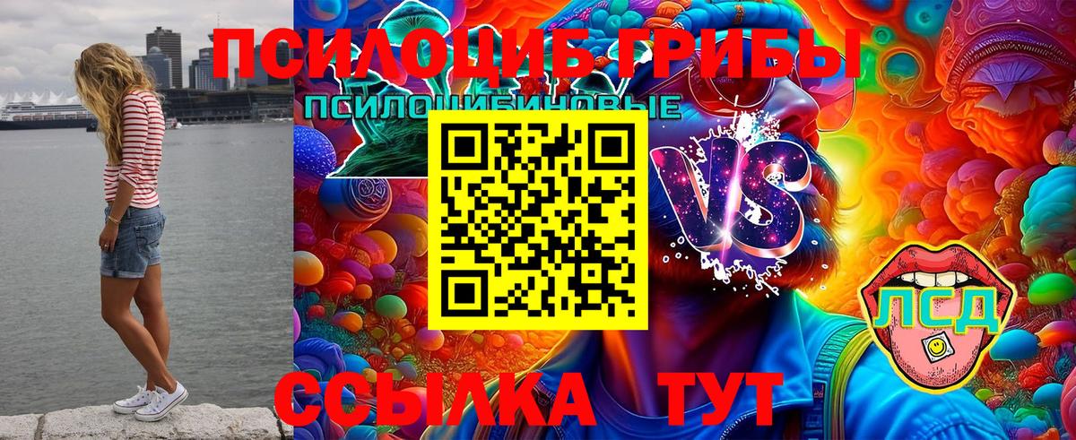 Луга  Псилоцибиновые грибы MAGIC MUSHROOMS  Вход с VPN 