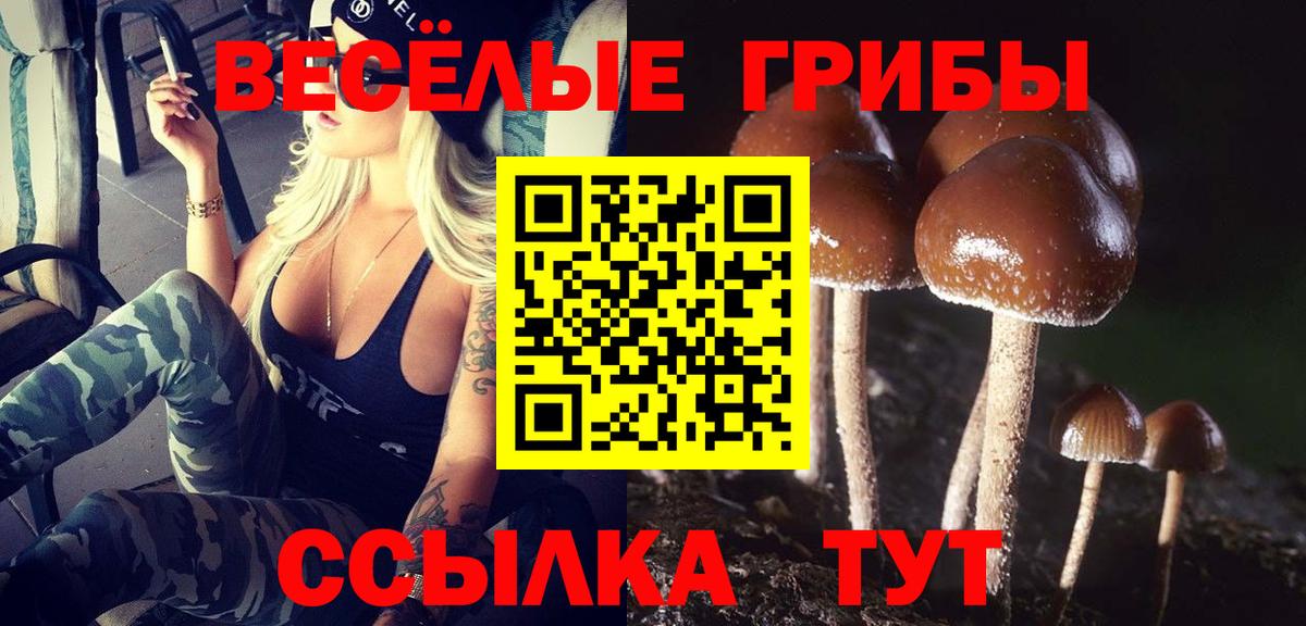 Бошки Шишки Луга